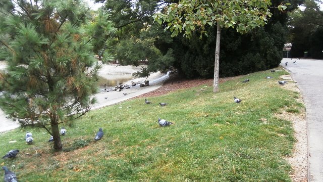 Stadtpark 29.09.2021