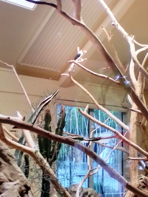 Tiergarten Schönbrunn 18.07.2020