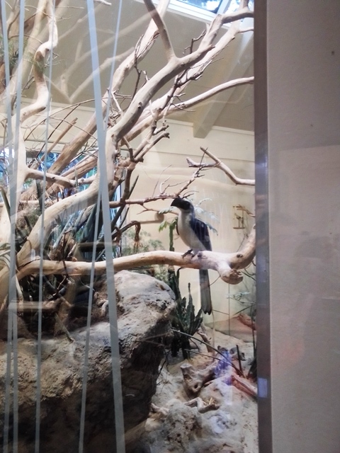 Tiergarten Schönbrunn 18.07.2020