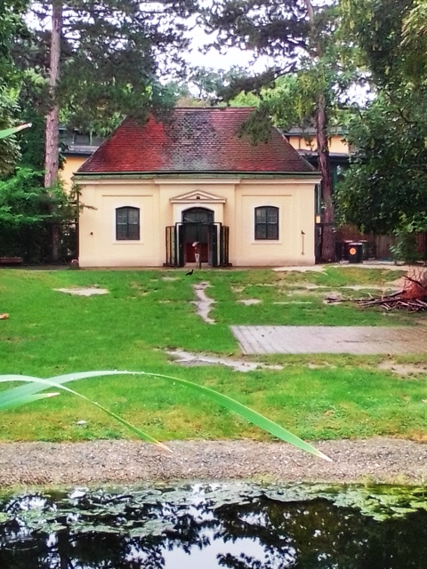 Tiergarten Schönbrunn 18.07.2020