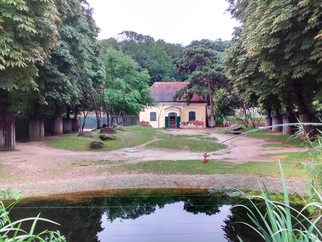 Tiergarten Schönbrunn 18.07.2020