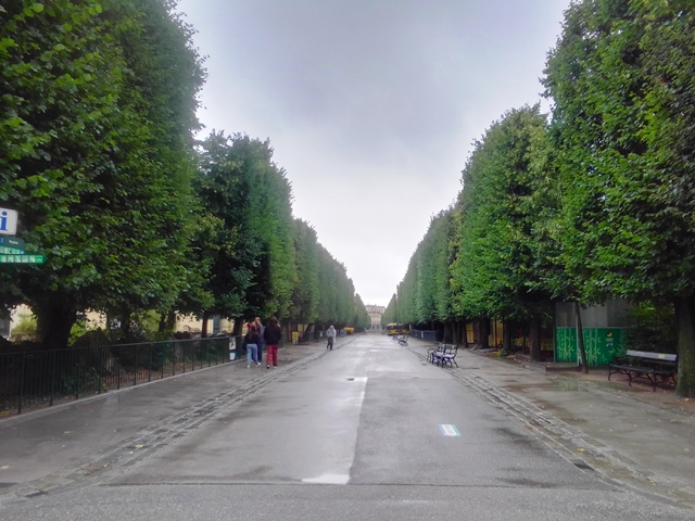 Tiergarten Schönbrunn 18.07.2020
