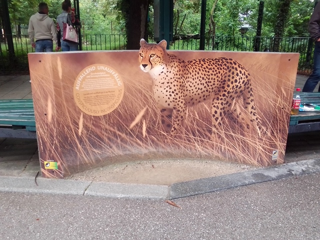 Tiergarten Schönbrunn 18.07.2020