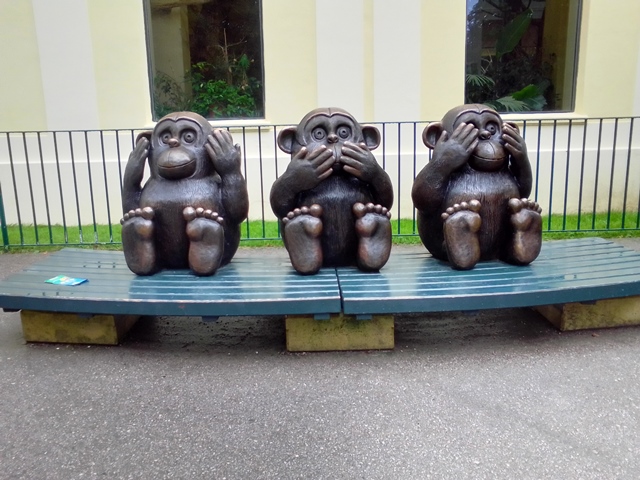 Tiergarten Schönbrunn 18.07.2020