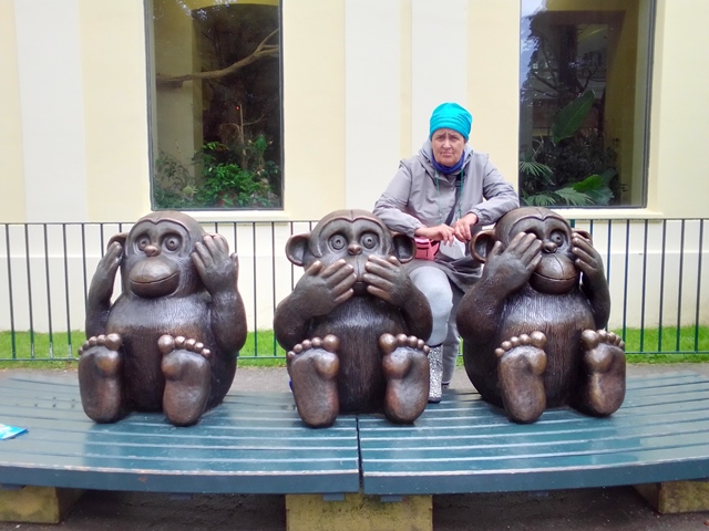Tiergarten Schönbrunn 18.07.2020