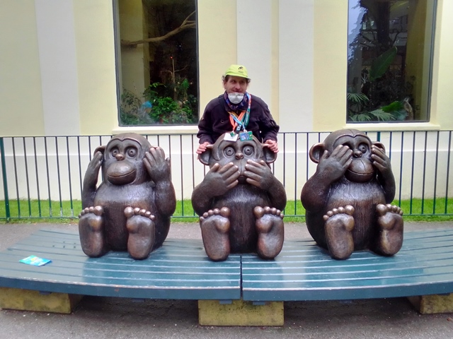 Tiergarten Schönbrunn 18.07.2020