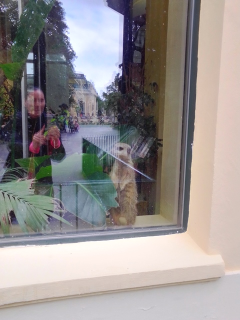 Tiergarten Schönbrunn 18.07.2020