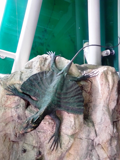 Tiergarten Schönbrunn 18.07.2020