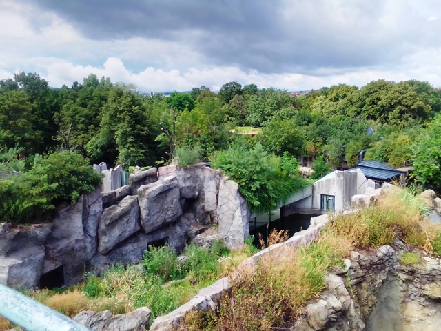 Tiergarten Schönbrunn 18.07.2020