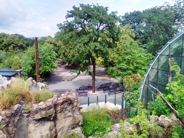 Tiergarten Schönbrunn 18.07.2020