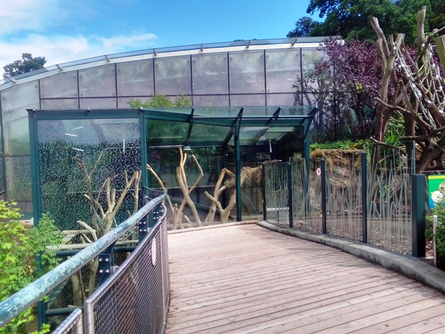 Tiergarten Schönbrunn 18.07.2020