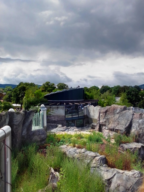Tiergarten Schönbrunn 18.07.2020