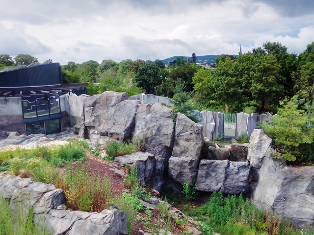 Tiergarten Schönbrunn 18.07.2020