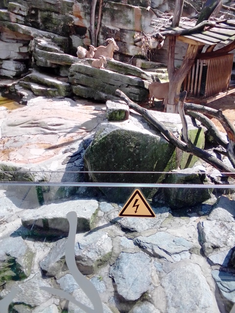 Tiergarten Schönbrunn 18.07.2020