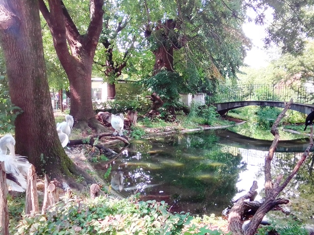 Tiergarten Schönbrunn 18.07.2020