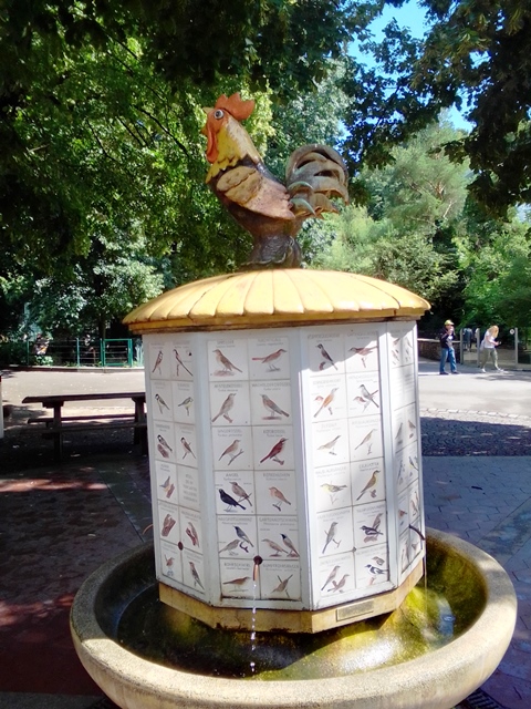 Tiergarten Schönbrunn 18.07.2020