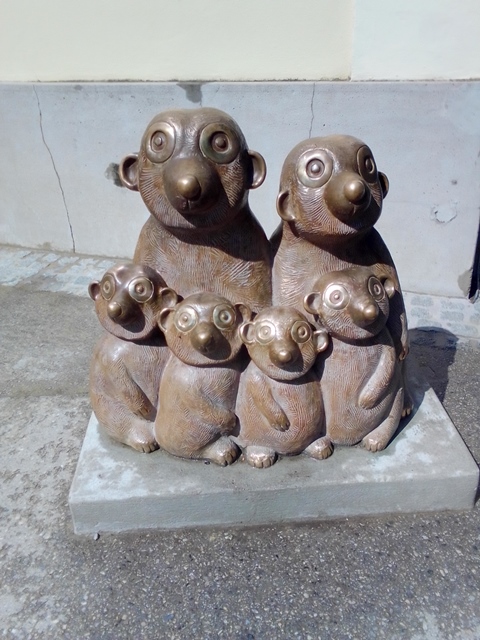 Tiergarten Schönbrunn 18.07.2020