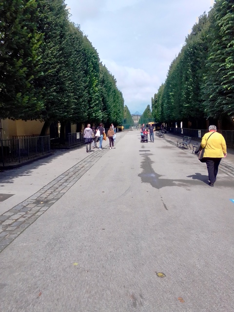 Tiergarten Schönbrunn 18.07.2020