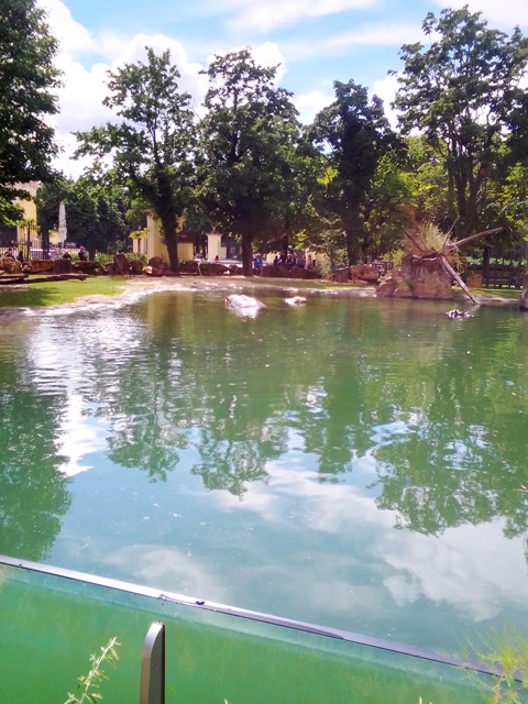 Tiergarten Schönbrunn 18.07.2020