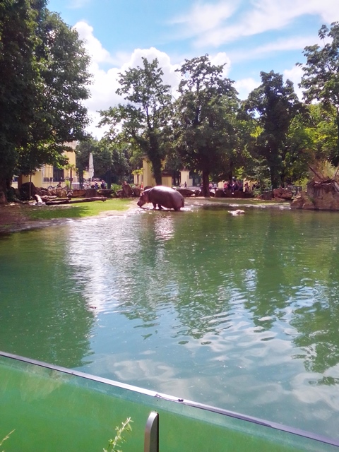 Tiergarten Schönbrunn 18.07.2020