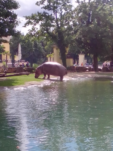 Tiergarten Schönbrunn 18.07.2020