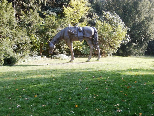 Türkenschanzpark 26.10.2019