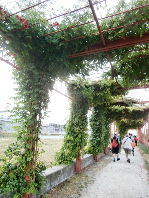 Floridsdorfer Wasserpark 31.07.2019