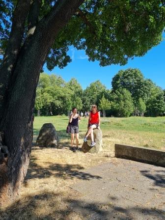 Zentralfriedhof 15.07.2023