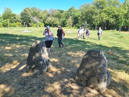 Zentralfriedhof 15.07.2023
