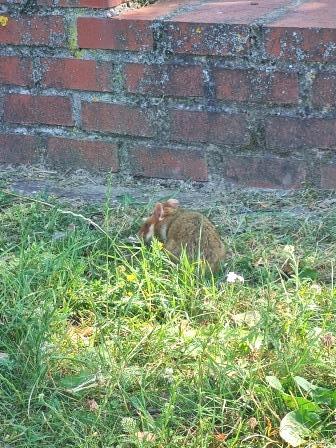 Zentralfriedhof 15.07.2023