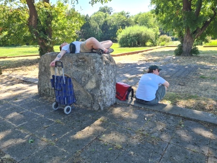 Zentralfriedhof 15.07.2023